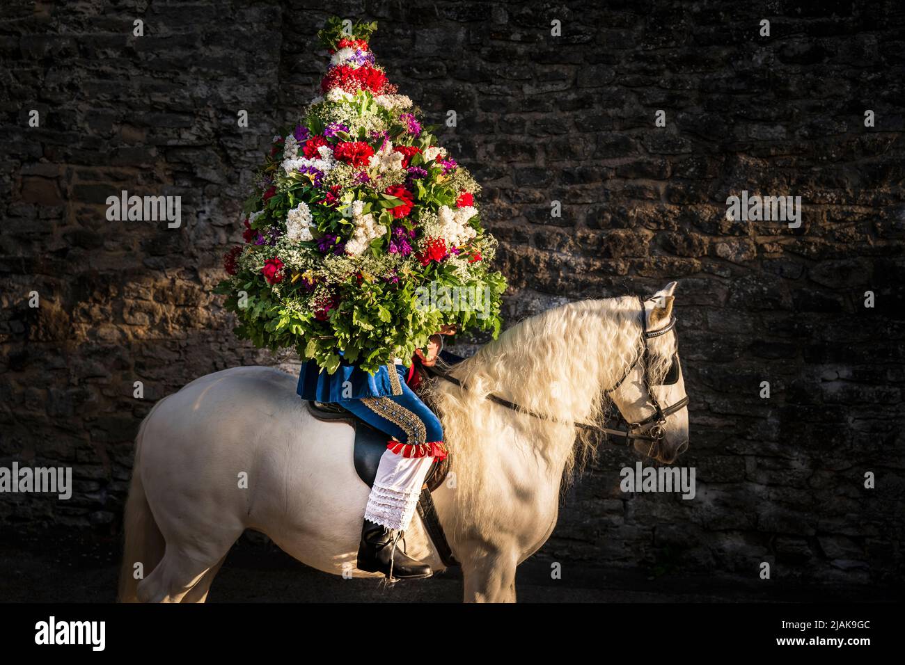 Jon Haddock si pone per una fotografia indossando una grande ghirlanda durante il Castleton Garland, un'antica tradizione che vede il re cerimoniale condurre una processione a cavallo, indossando una cornice fiorita, intorno al villaggio di Castleton, nel Peak District National Park, Derbyshire. Data foto: Lunedì 30 maggio 2022. Foto Stock