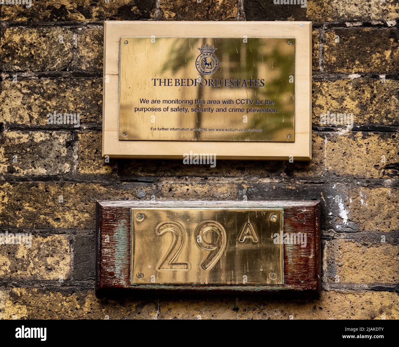 The Bedford Estate London - l'ingresso al Bedford Estates Office. L'azienda è il più grande proprietario privato di terreni a Bloomsbury, nel centro di Londra. Foto Stock