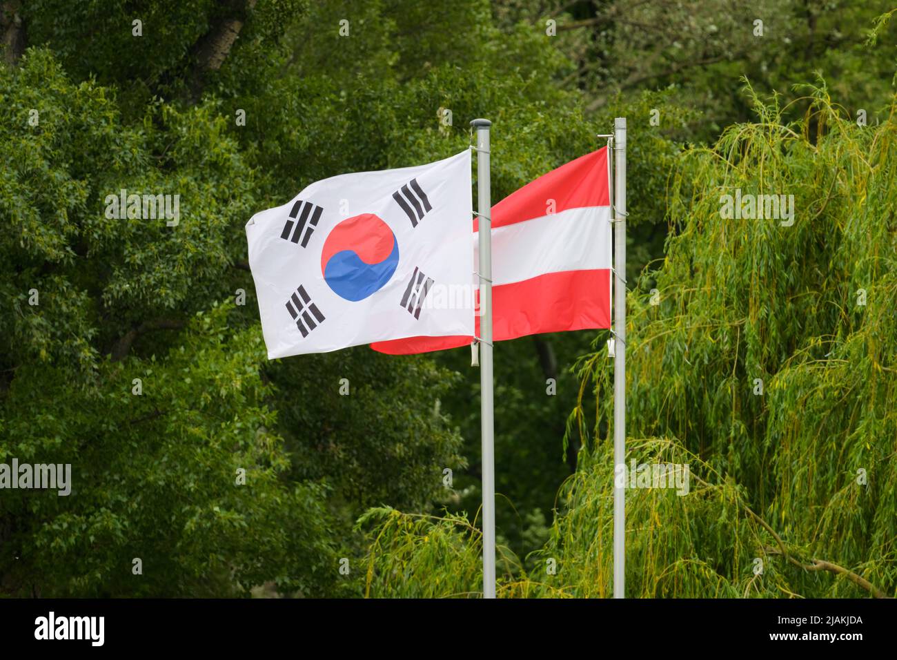 Le bandiere della Corea del Sud e dell'Austria, parco a Vienna (Austria) Foto Stock