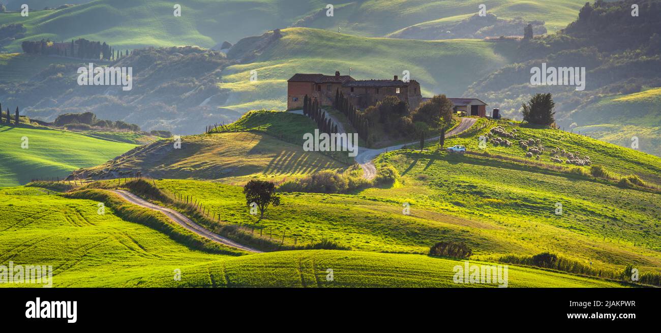 Panorama del paesaggio primaverile della Toscana Foto Stock