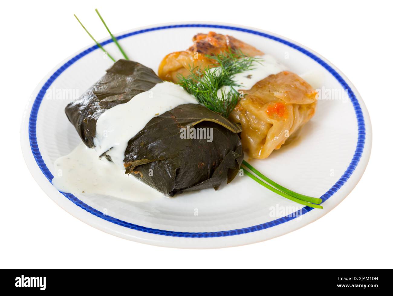 Cucina bulgara - Sarma (o Dolma) Foto Stock