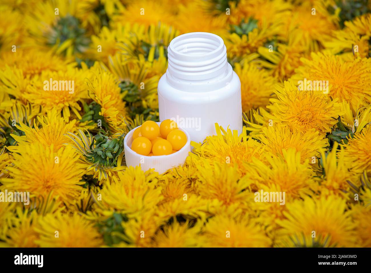 Vitamine in dente di leone. Una bottiglia con pillole gialle in fiori di dente di leone, primo piano Foto Stock