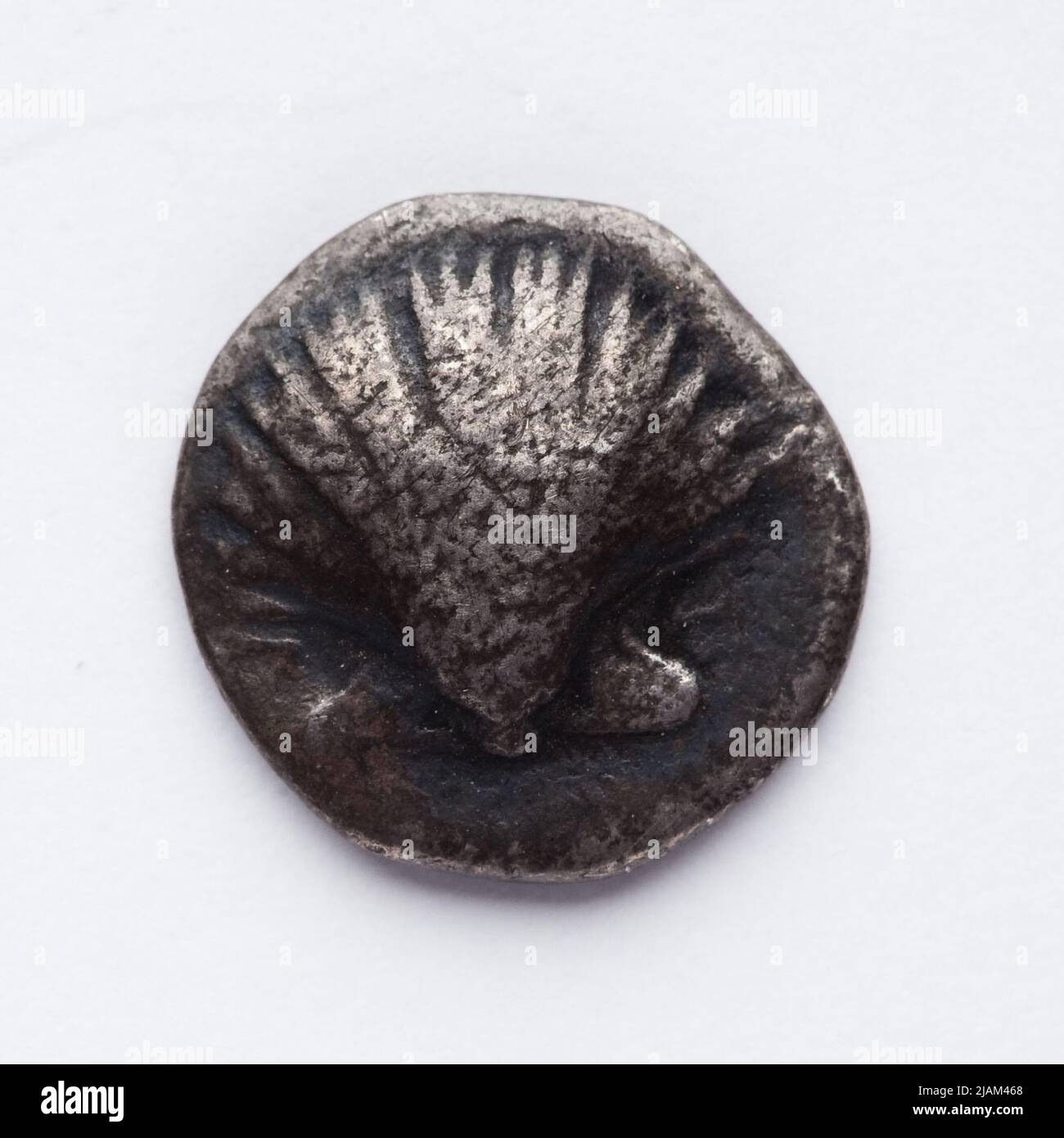 Calabria, Taras, diobol; 4th sec. a.C. Tarent Menna Foto Stock