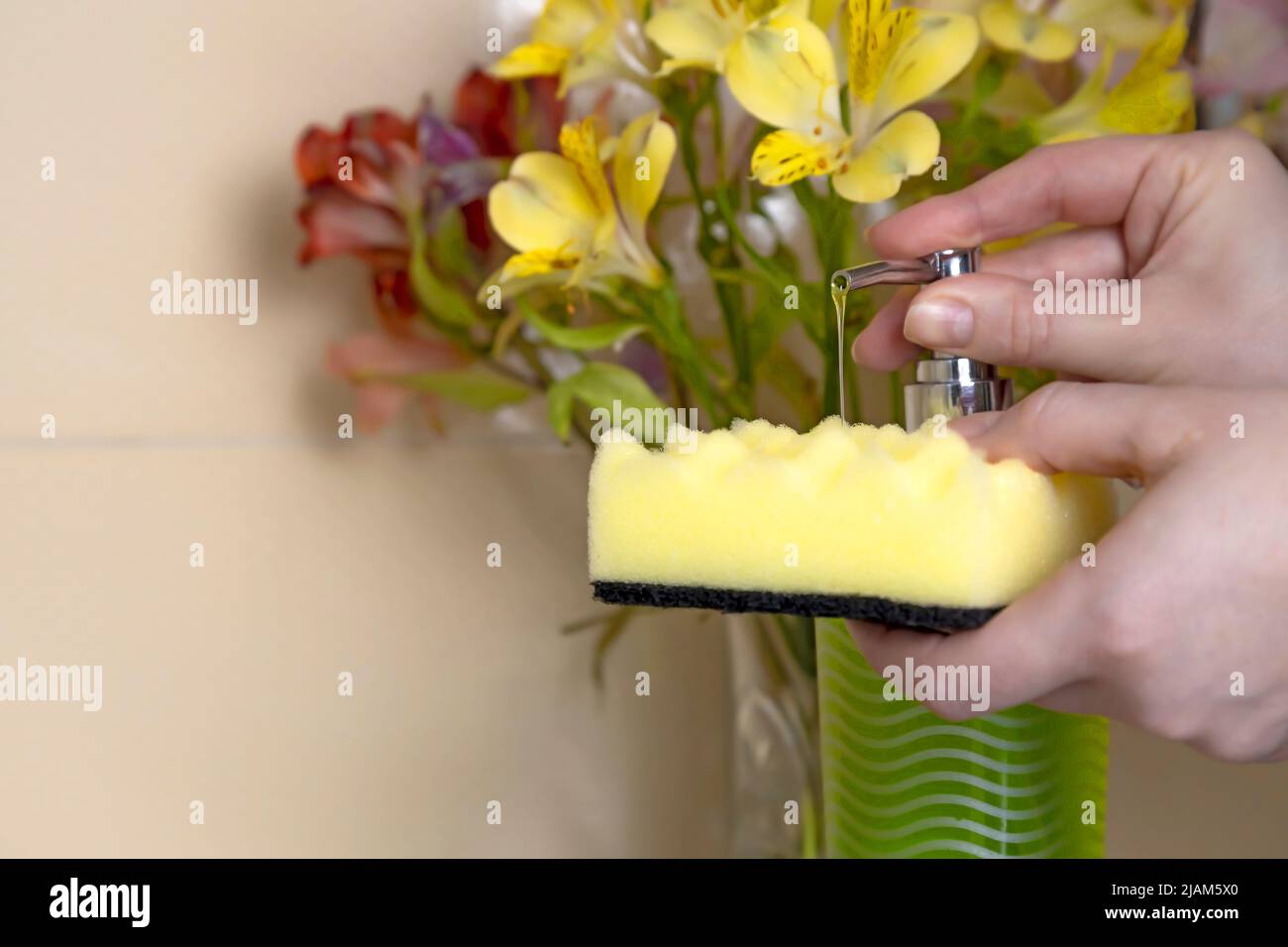 Applicazione di liquido per lavastoviglie su una spugna. Le mani femminili tengono una spugna gialla per il lavaggio delle stoviglie Foto Stock