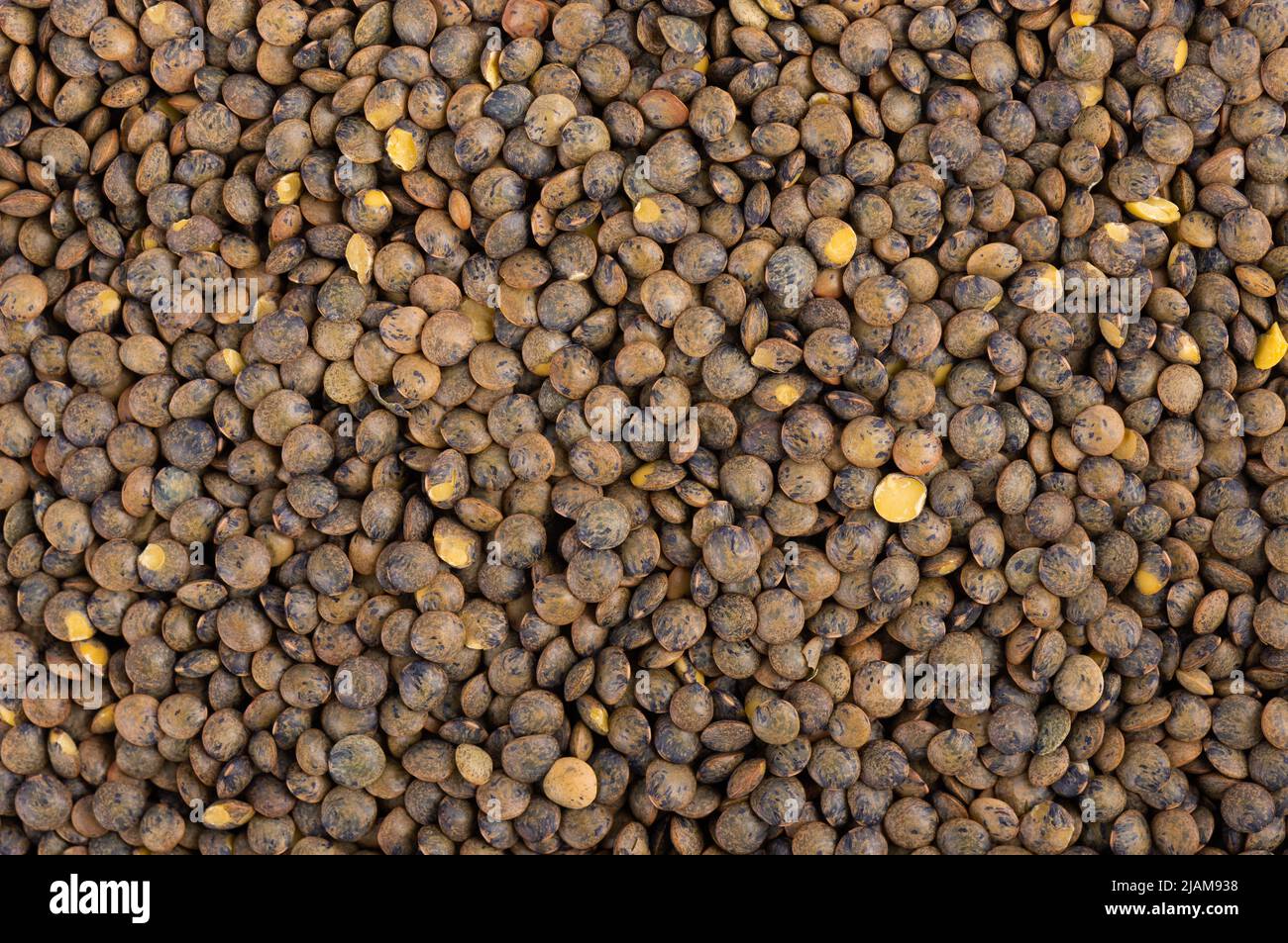 Fondo lenticchie francesi. Asciutto puy lentil granisce mucchio. Vista dall'alto Foto Stock