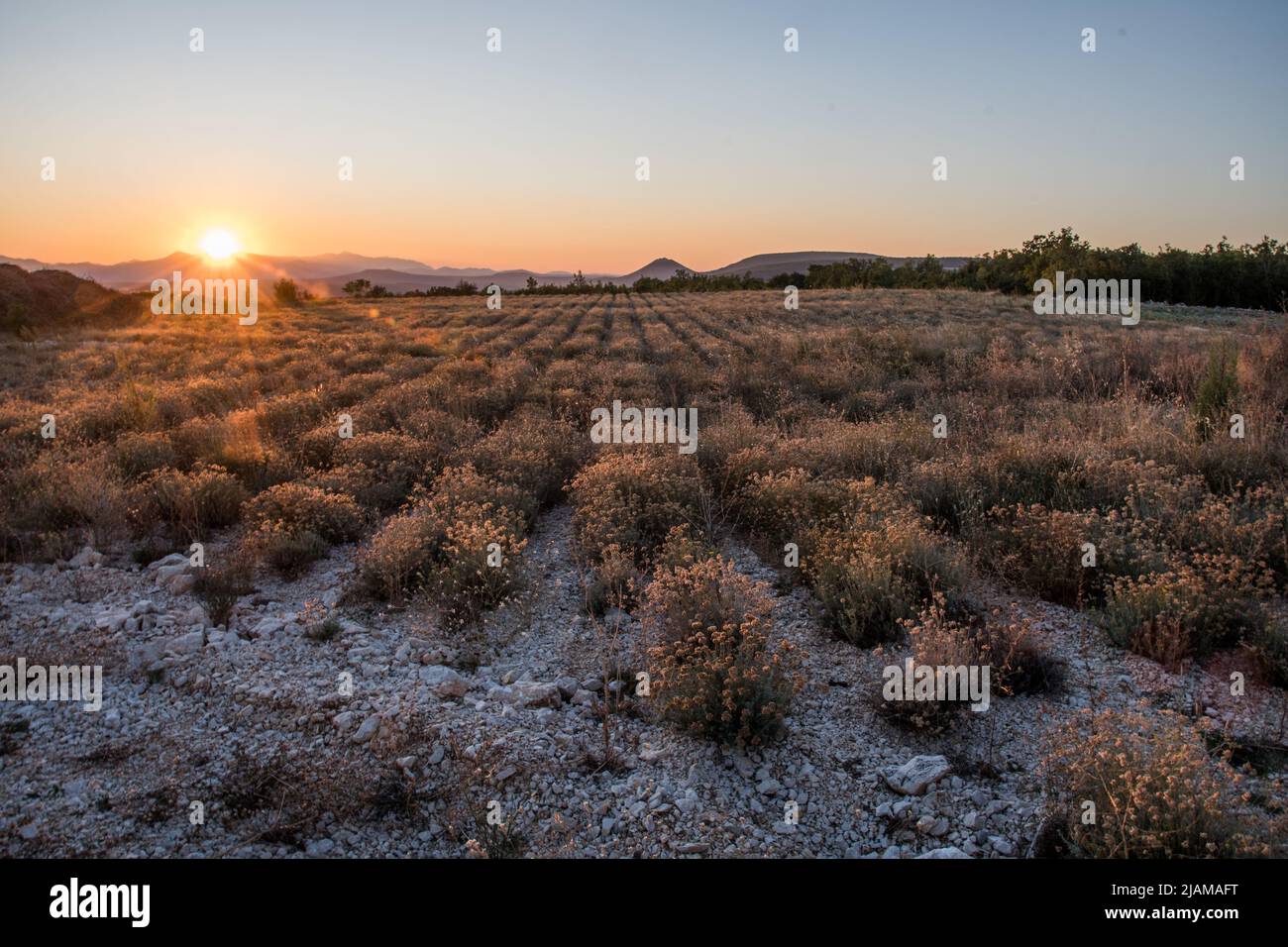 Bosnia e Herzegowina Foto Stock