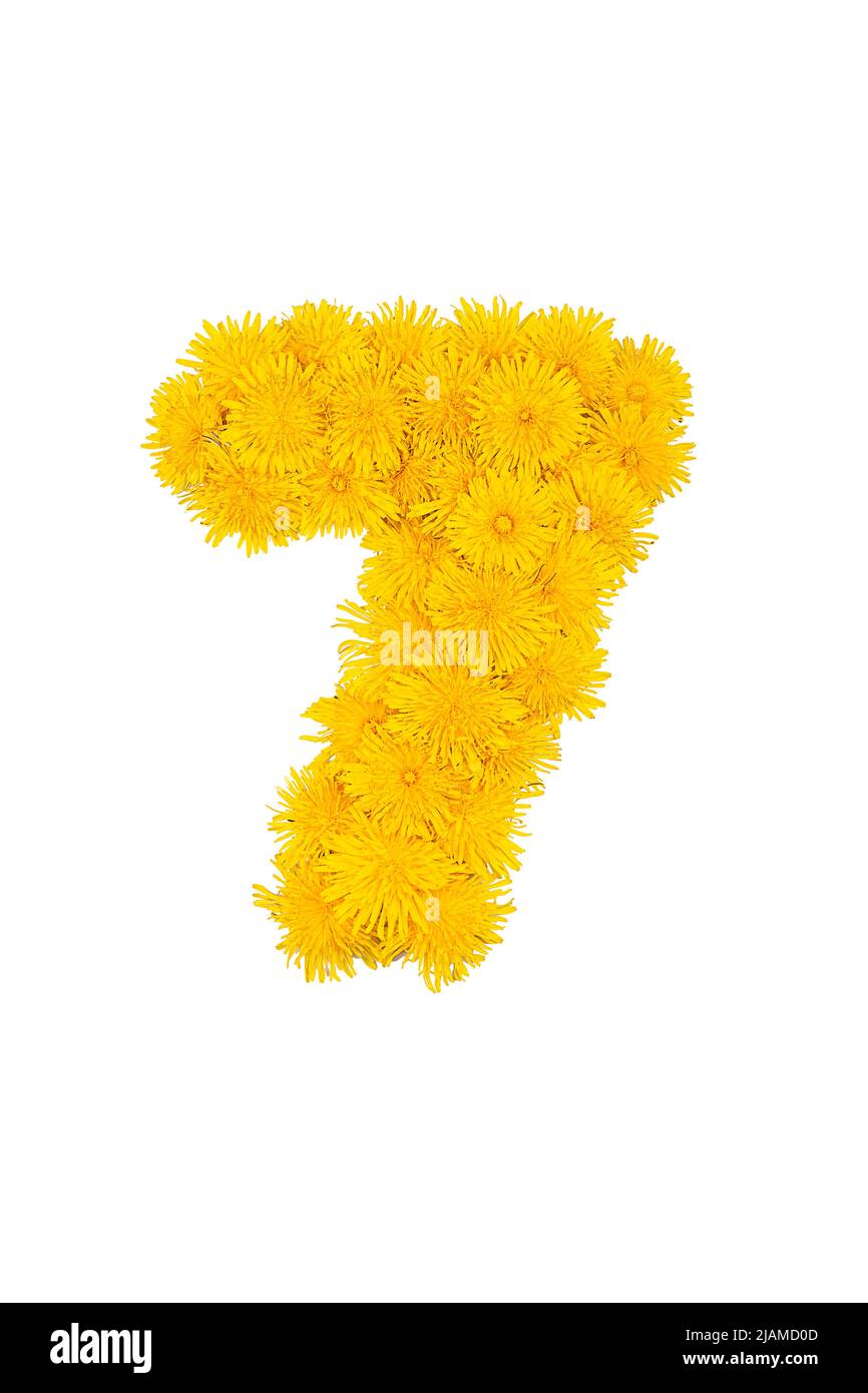 Figure da fiori di dente di leone isolati su uno sfondo bianco. Figura 7 Foto Stock