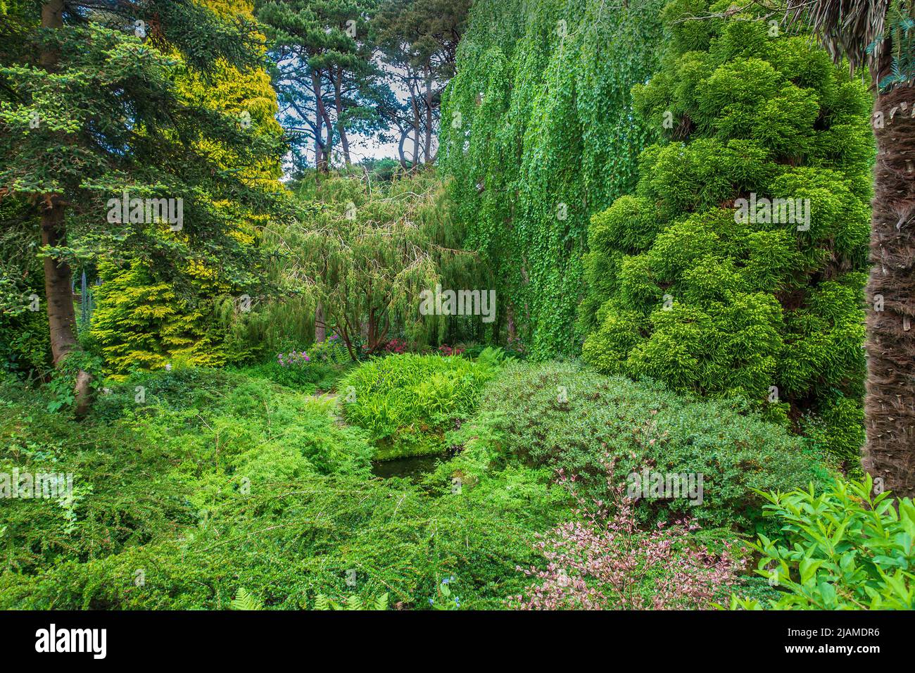 Giardini, Compton Acres, Poole, Dorset, Inghilterra Foto Stock