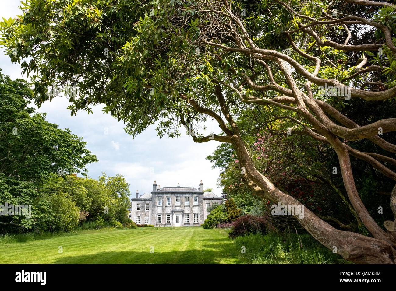 Vista della Trewiten House, di fronte al prato sud, incorniciata da alberi e enormi rododendri. Sembra quasi minaccioso come i rami torre sopra la casa. Foto Stock