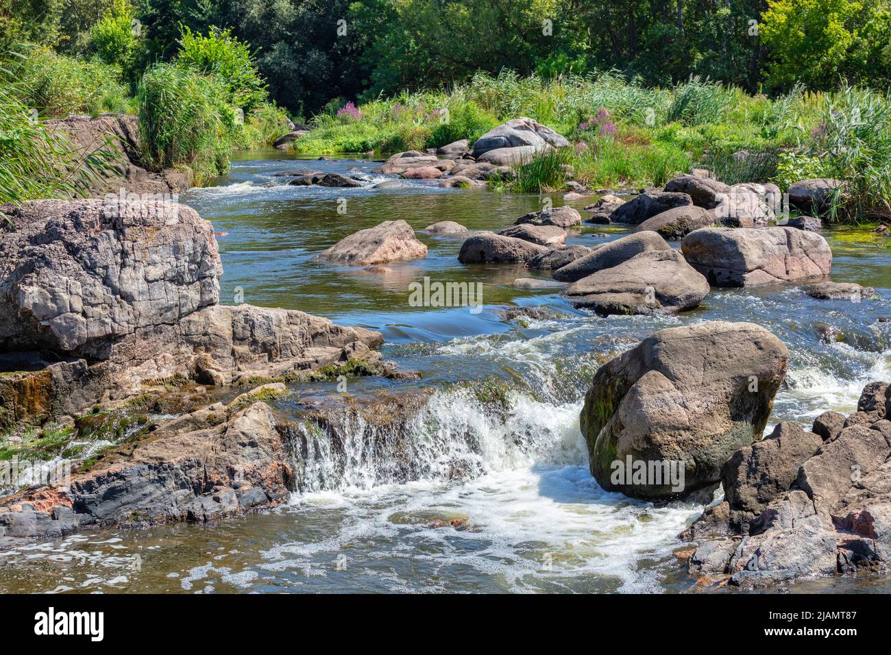 Bel paesaggio estivo di un fiume foresta in una giornata estiva con un flusso turbolento di acqua e massi di pietra e un riflesso del cielo blu. Foto Stock