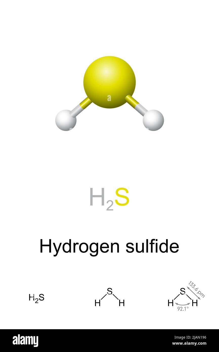 Solfuro di idrogeno, modello a sfera e bastone, formula molecolare e chimica. Composto chimico di formula H2S. Foto Stock