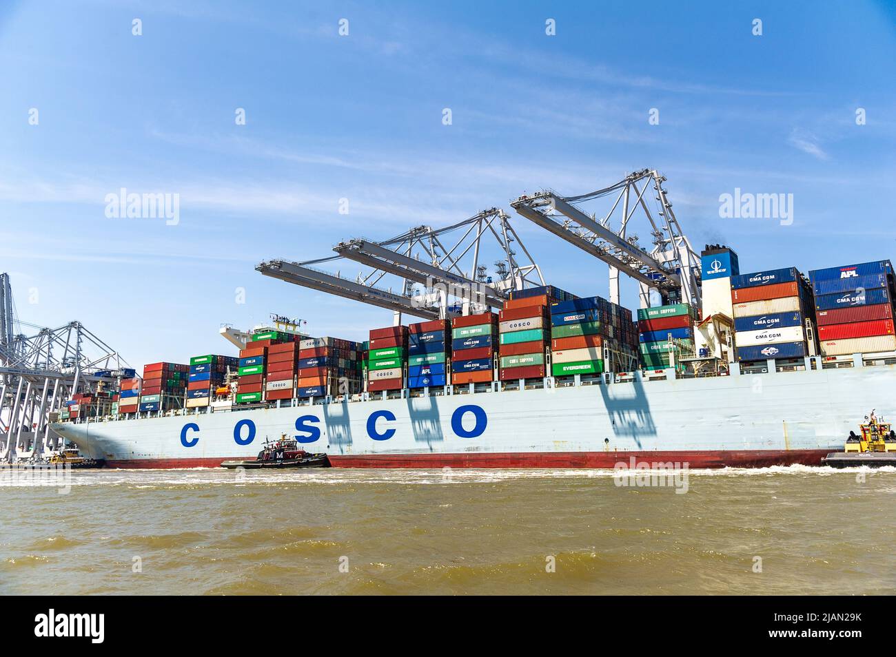 Immagini di scorta della nave COSCO Development Container, la più grande nave che mai chiamava la costa orientale, entrò nel fiume Savannah questa mattina e nel mak Foto Stock