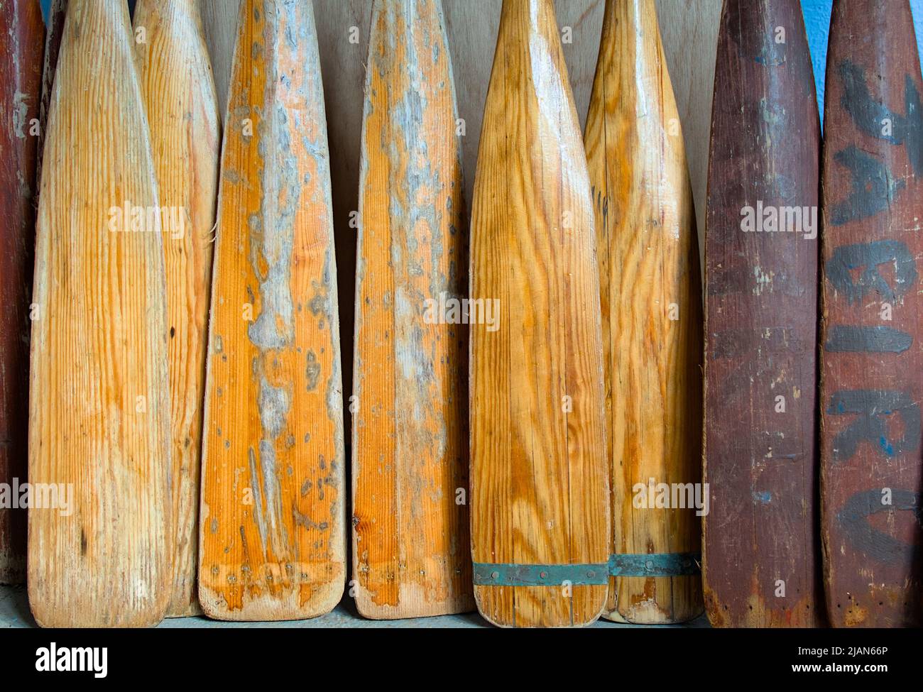 Collezione di Una fila di vecchi remi di legno usati in piedi contro Un muro, Christchurch UK Foto Stock