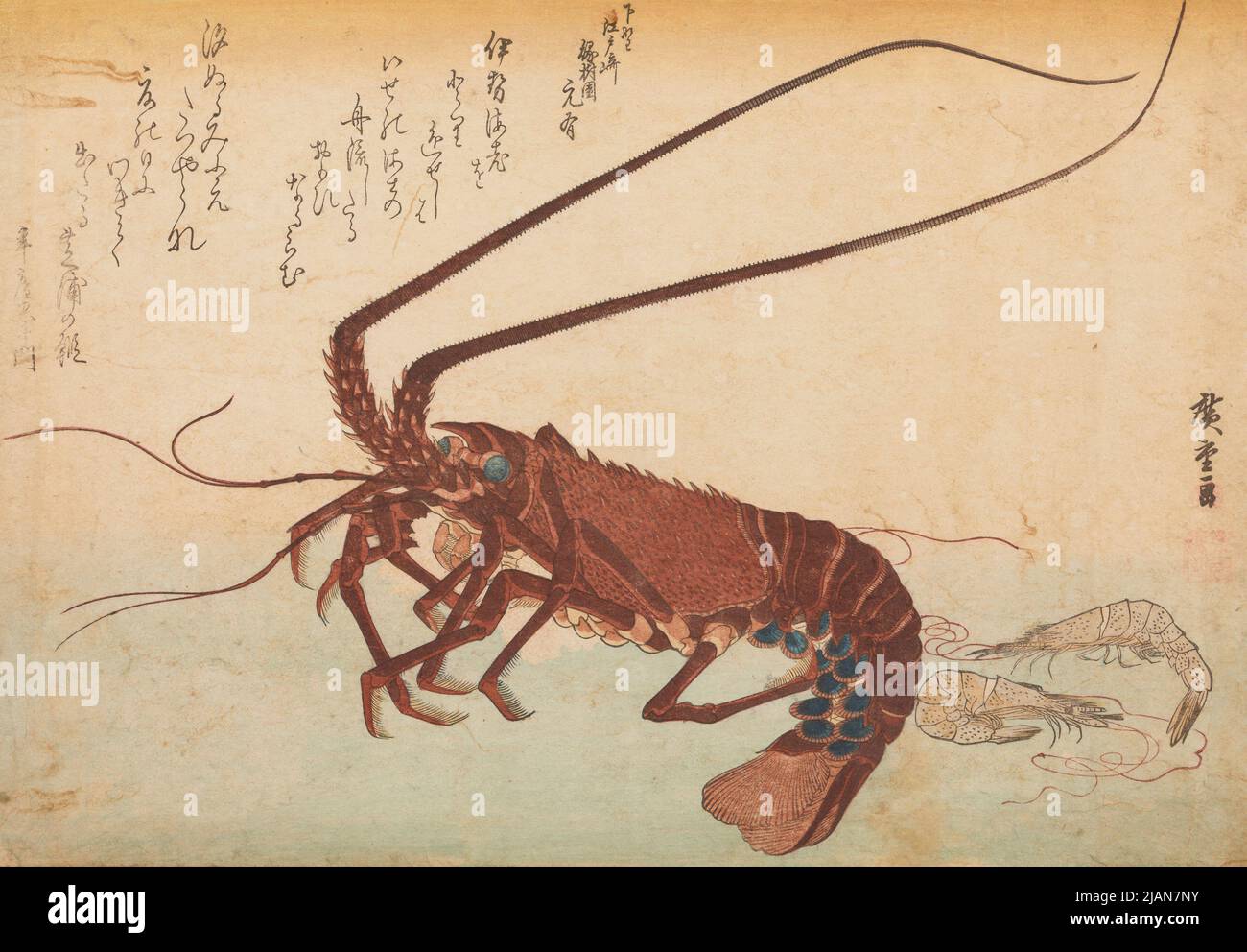 Aragosta grande e due gamberi, della serie: Pesci e animali marini HIROSHIGE, Ichiryusai (1797 1858) Foto Stock