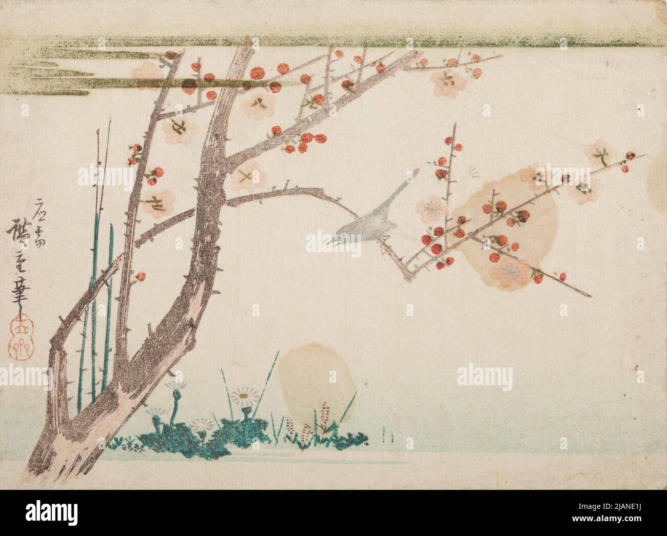 Nightingale sul ramo di un susino fiorente HIROSHIGE, Ichiryusai (1797 1858) Foto Stock