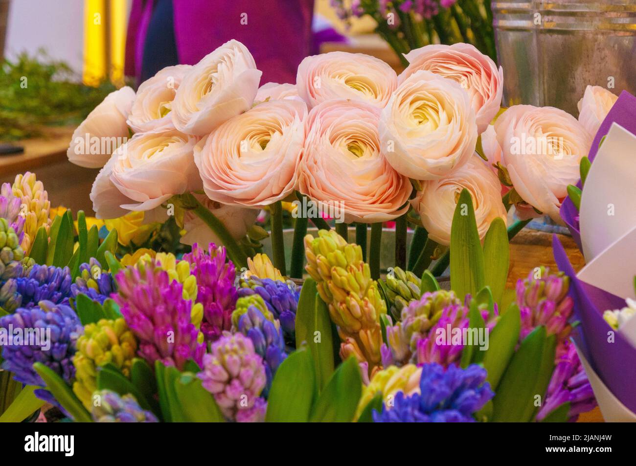 Bella fioritura fiori rose, ortensie, garofani, eustoma in blu, antichi colori blu e pesca al fioraio Foto Stock