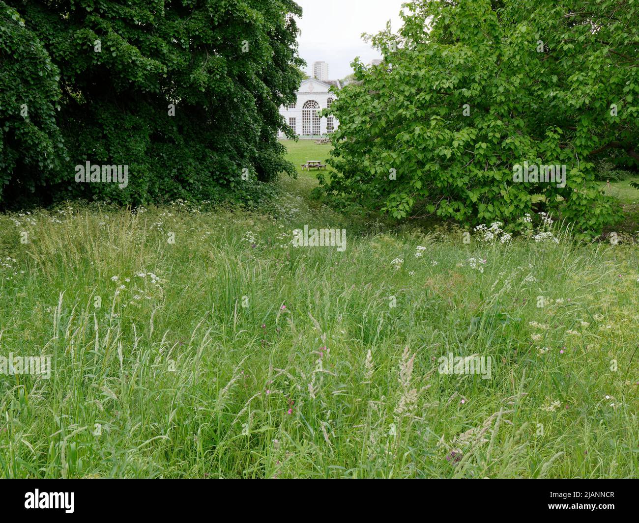 Richmond, Greater London, Inghilterra, maggio 18 2022: Royal Botanic Gardens Kew. Vista dal terreno di Kew verso l'Orangery e tavoli da picnic. Foto Stock