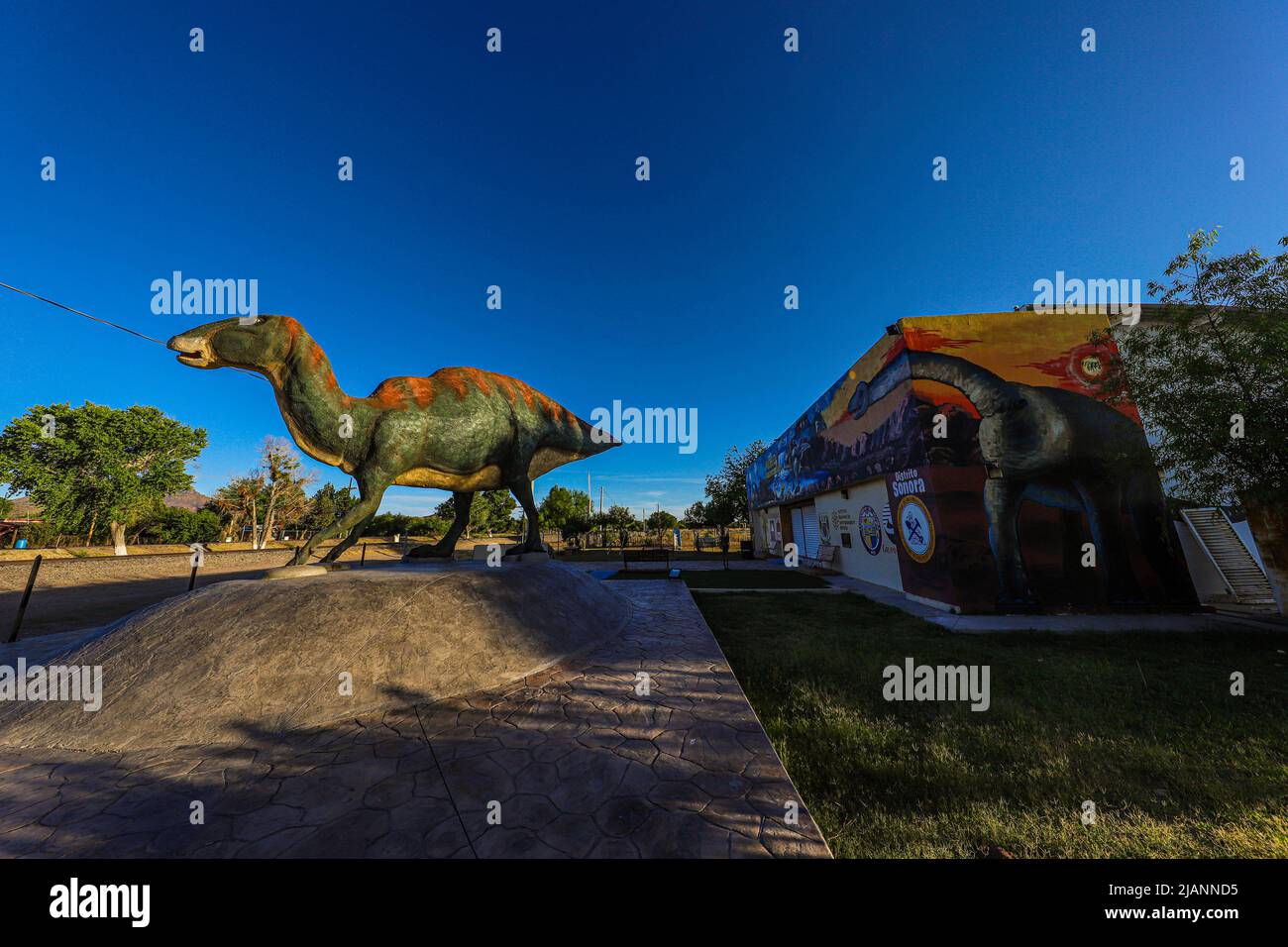 Scultura in scala gigante di un dinosauro con anatra al Museo Paleontologico di Fronteras, Messico. Hadrosaurids è una famiglia di dinosauri ornitopodi. Yamatosaurus, Paleontologia. (© Foto Luis Gutierrez by NortePhoto.com) Escultura a escala gigante de dinosaurio pico de pato en el Museo Paleontológico en Fronteras, Messico. Pueblo Fronteras en el estado de sonora Mexico. hadrosáuridos, es una familia de dinosaurios ornitópodos hadrosauroideos. Yamatosaurus, Paleontología. (© Foto Luis Gutierrez di NortePhoto.com) Foto Stock