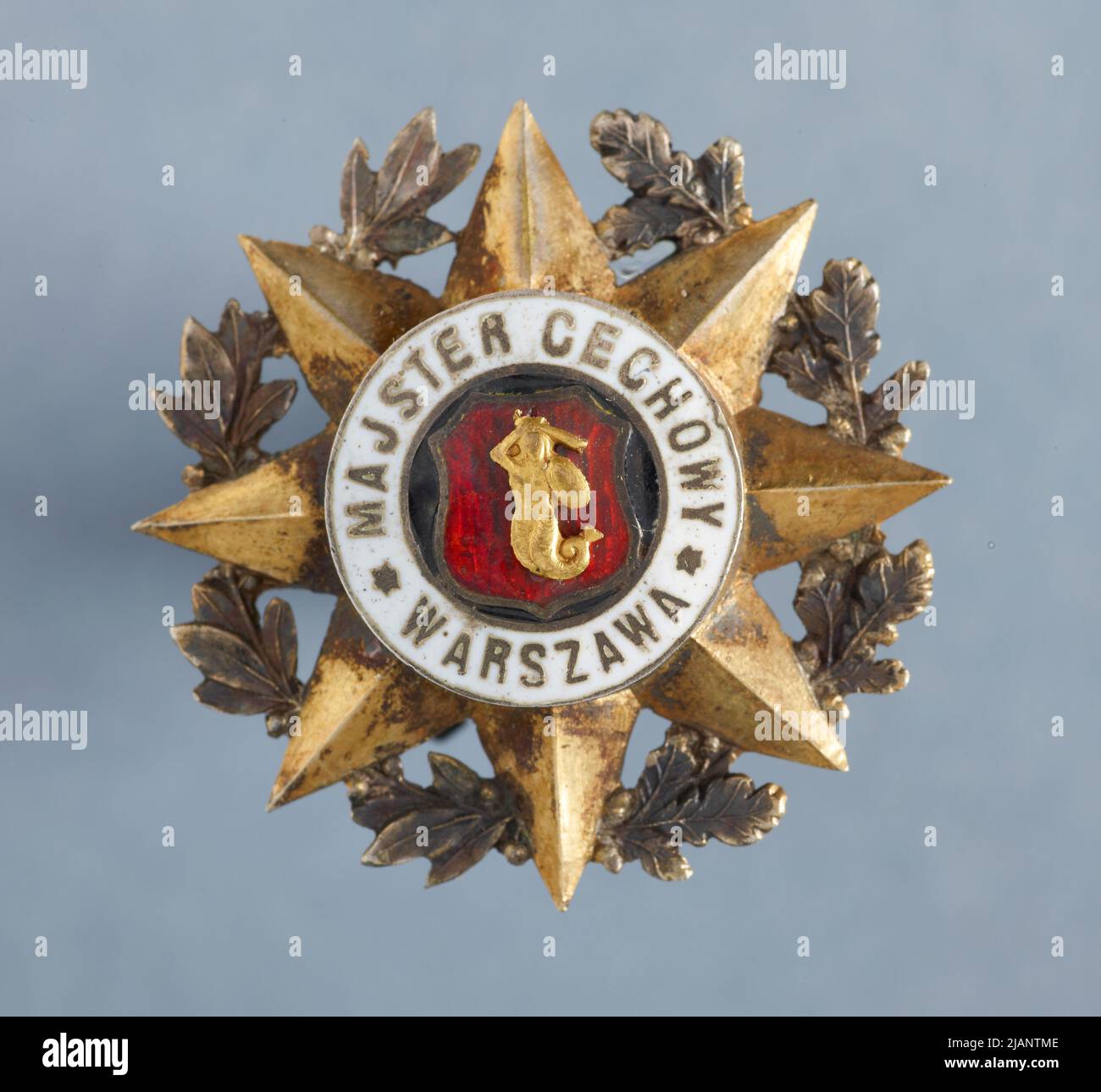 Distintivo commemorativo del caposquadra di Varsavia, la cosiddetta stella della Gilda Foto Stock