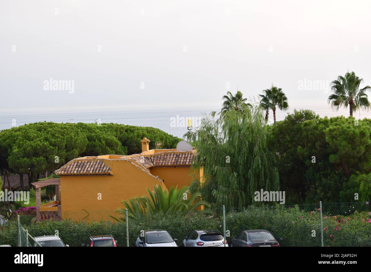Alberi incredibili nel Regno Unito e in Spagna Foto Stock
