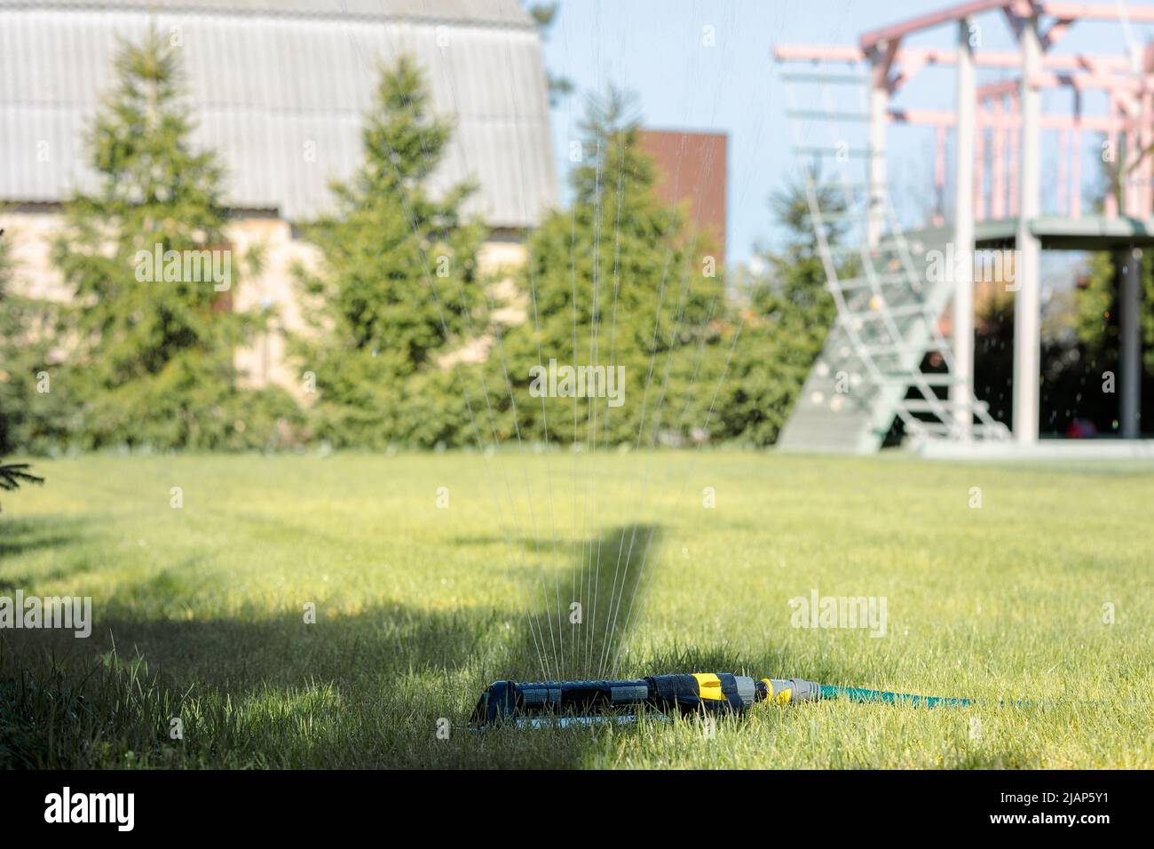 Irrigazione prato. Impianto di irrigazione prato irrigatore spruzzare acqua su erba verde fresca in giardino la mattina d'estate in luce al sole all'aperto con sfondo naturale sfocato. Primo piano, formato ampio, spazio di copia. Foto Stock