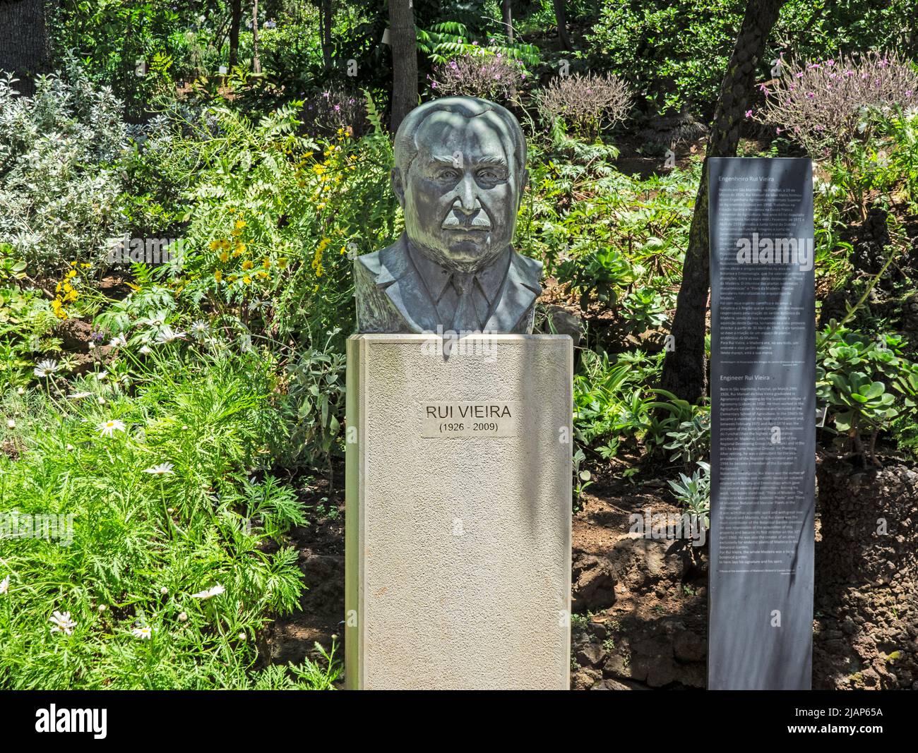 Una statua di Rui Vieira, un agronomo che fondò i Giardini Botanici a Funchal, Madeira. Foto Stock