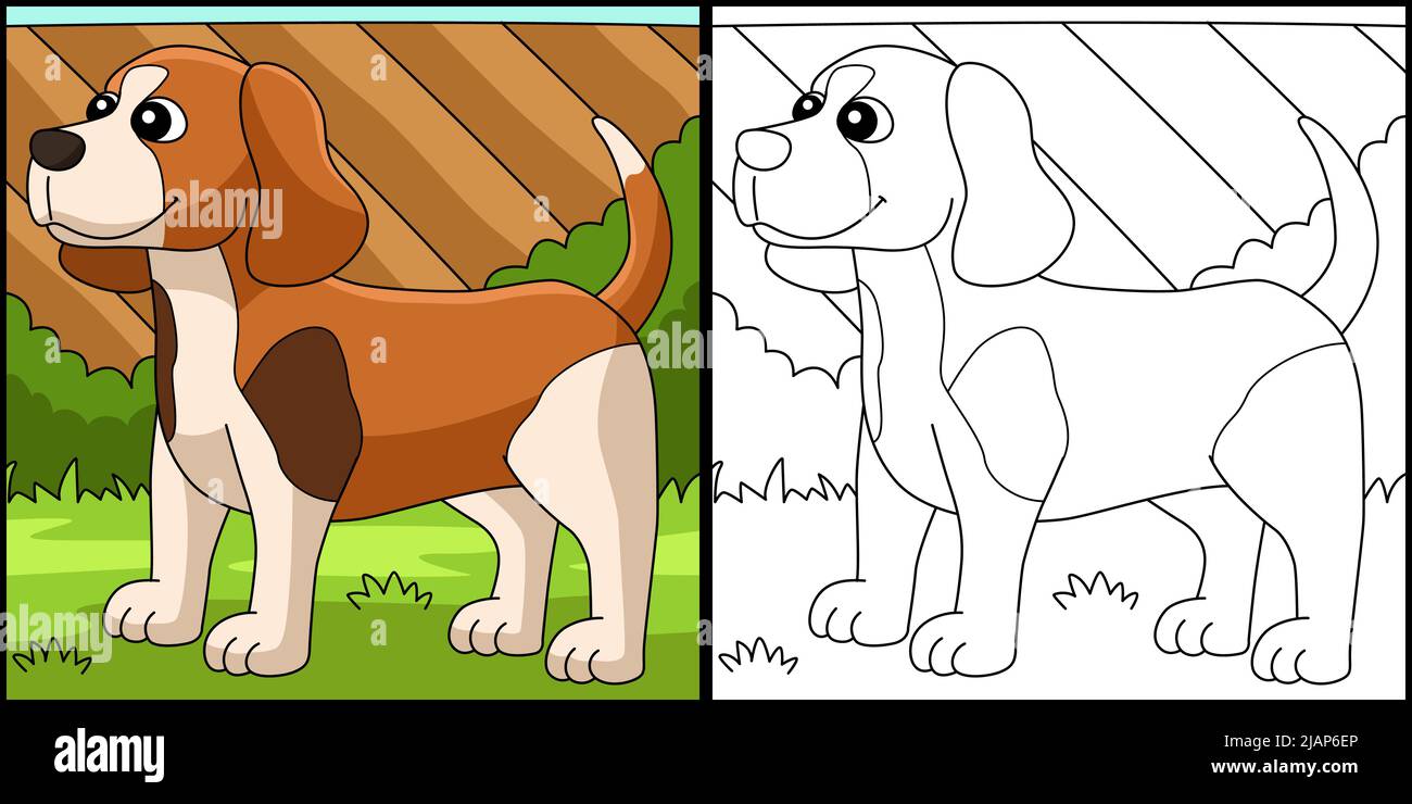 Beagle Dog colorazione pagina Illustrazione colorata Illustrazione Vettoriale