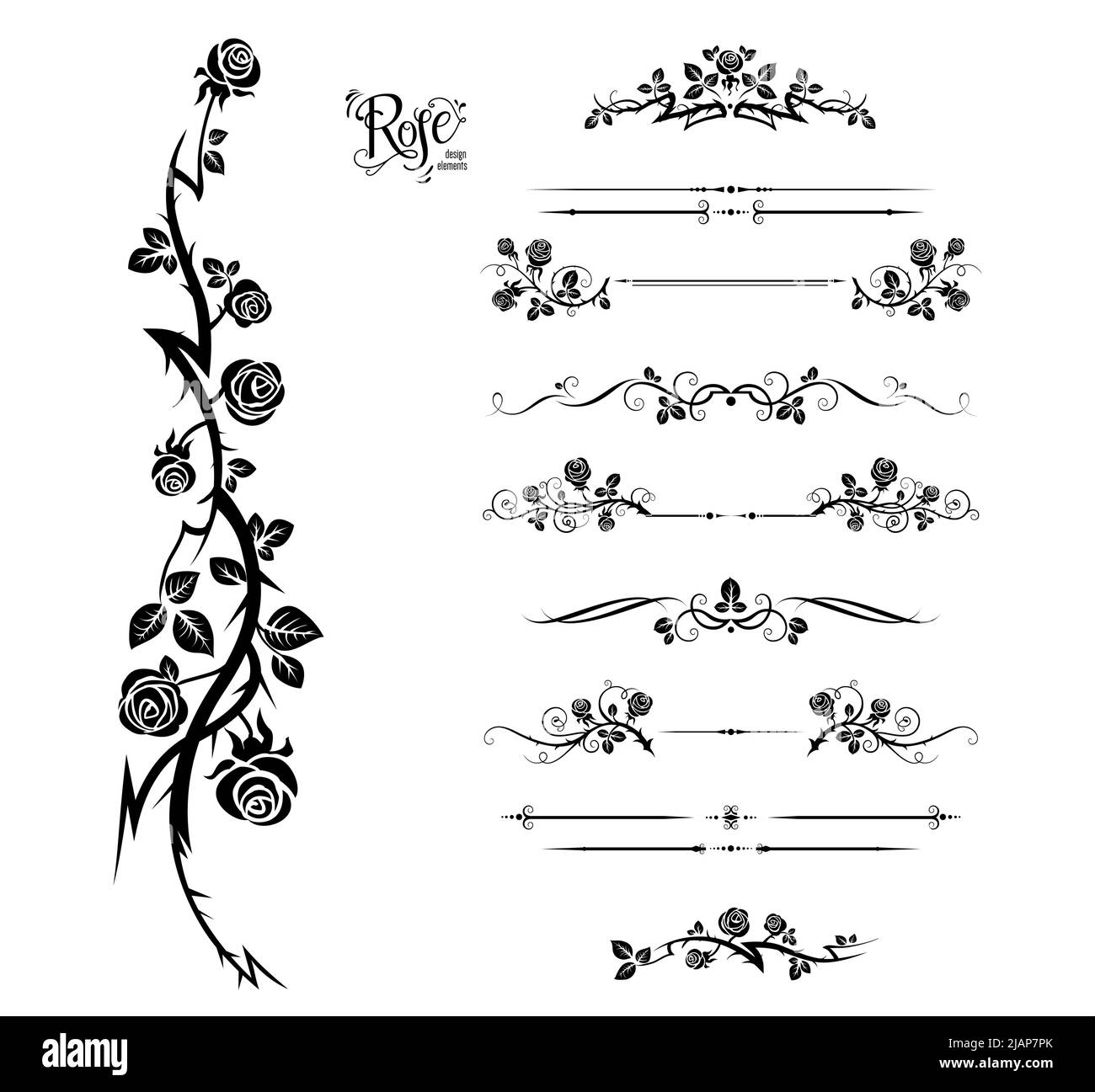 bordi e divisori con rose Illustrazione Vettoriale