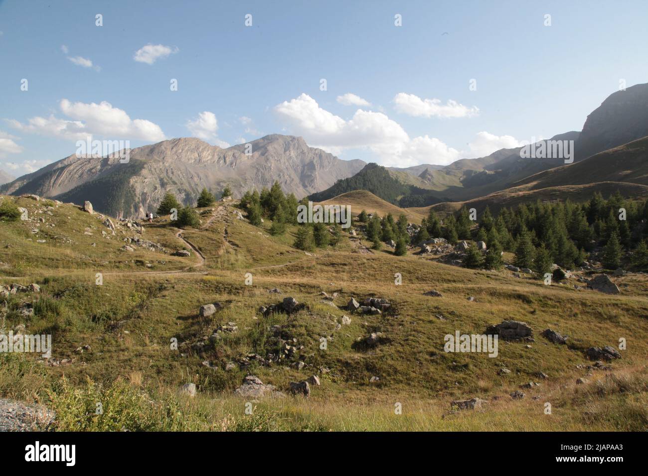 Au col de Vars, Alpes de Haute Provence Foto Stock