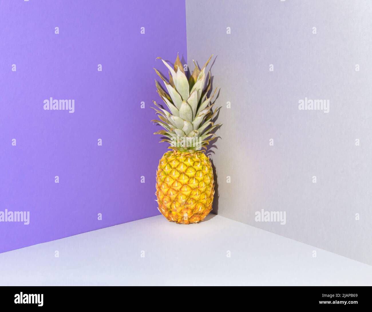 Ananas fresco e maturo in piedi in un angolo di camera dipinta di viola. Concetto di frutta moderna. Idea minima di cibo. Foto Stock