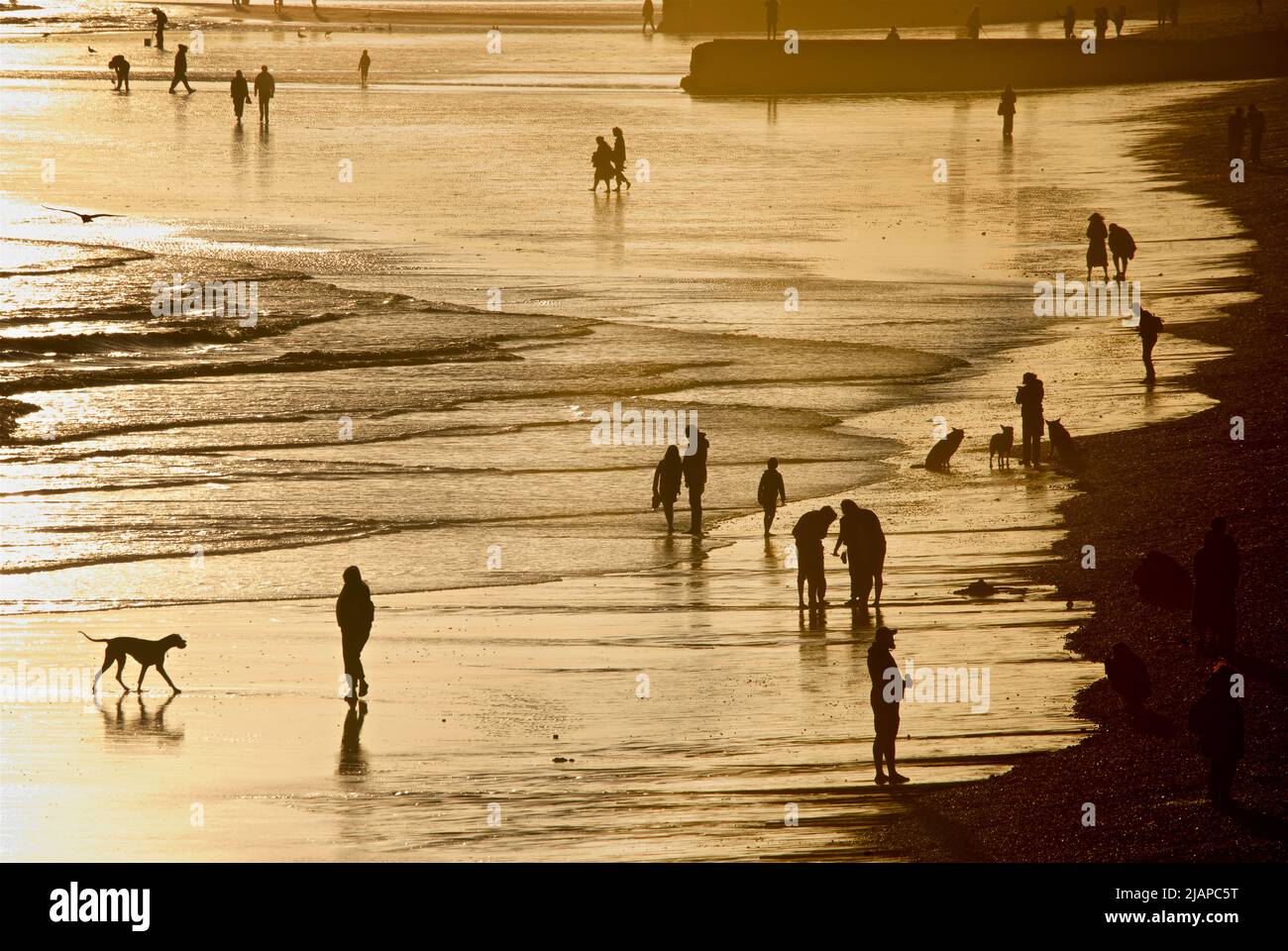 Forme di persone sulla spiaggia a bassa marea, Brighton & Hove, East Sussex, Inghilterra, Regno Unito. Cane da passeggio e altre forme. Foto Stock