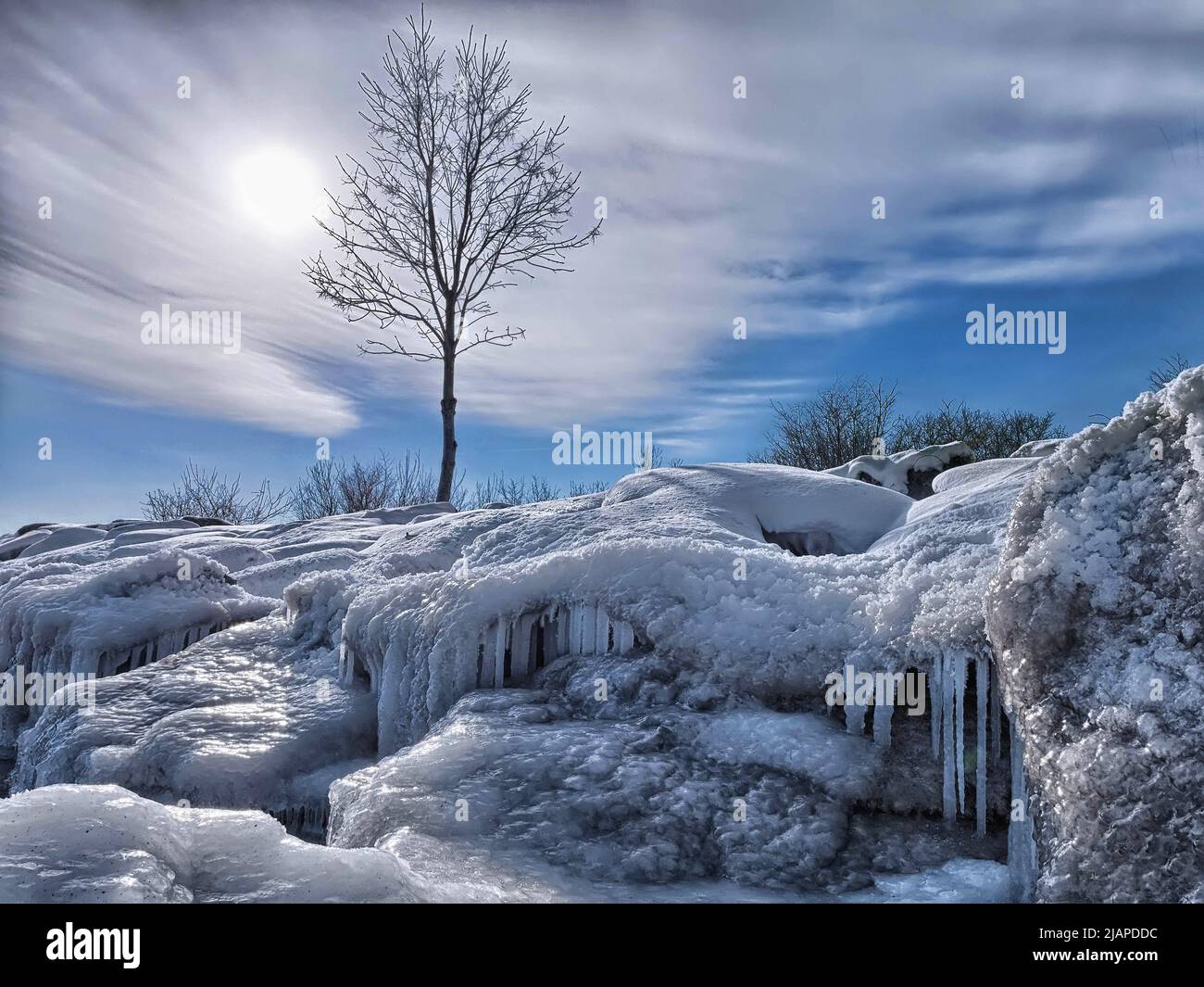 Paesaggio ghiacciato nel Jack Darling Memorial Park, Mississauga, Ontario, Canada Foto Stock