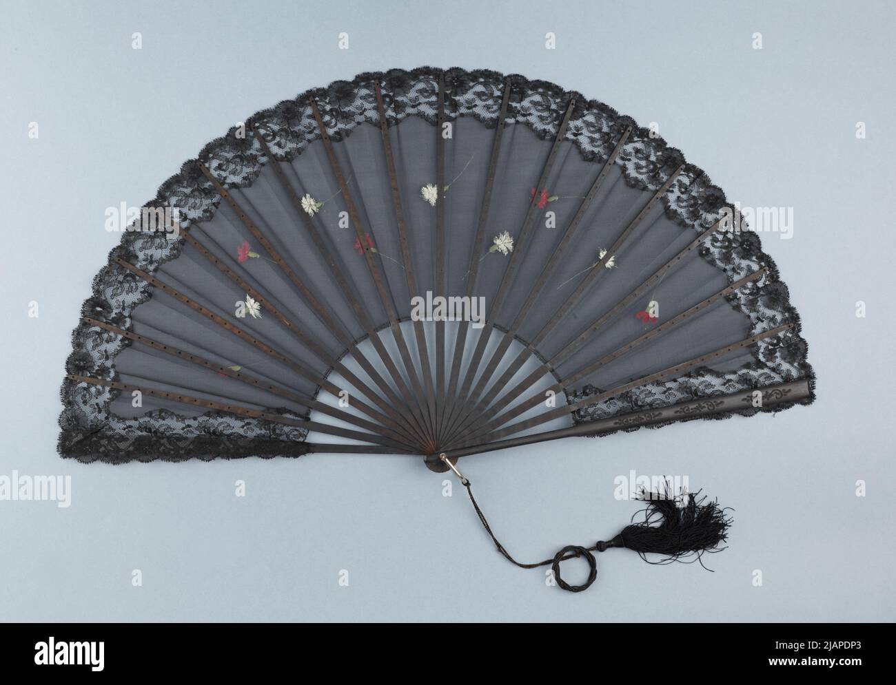 Ventola sconosciuta Foto Stock