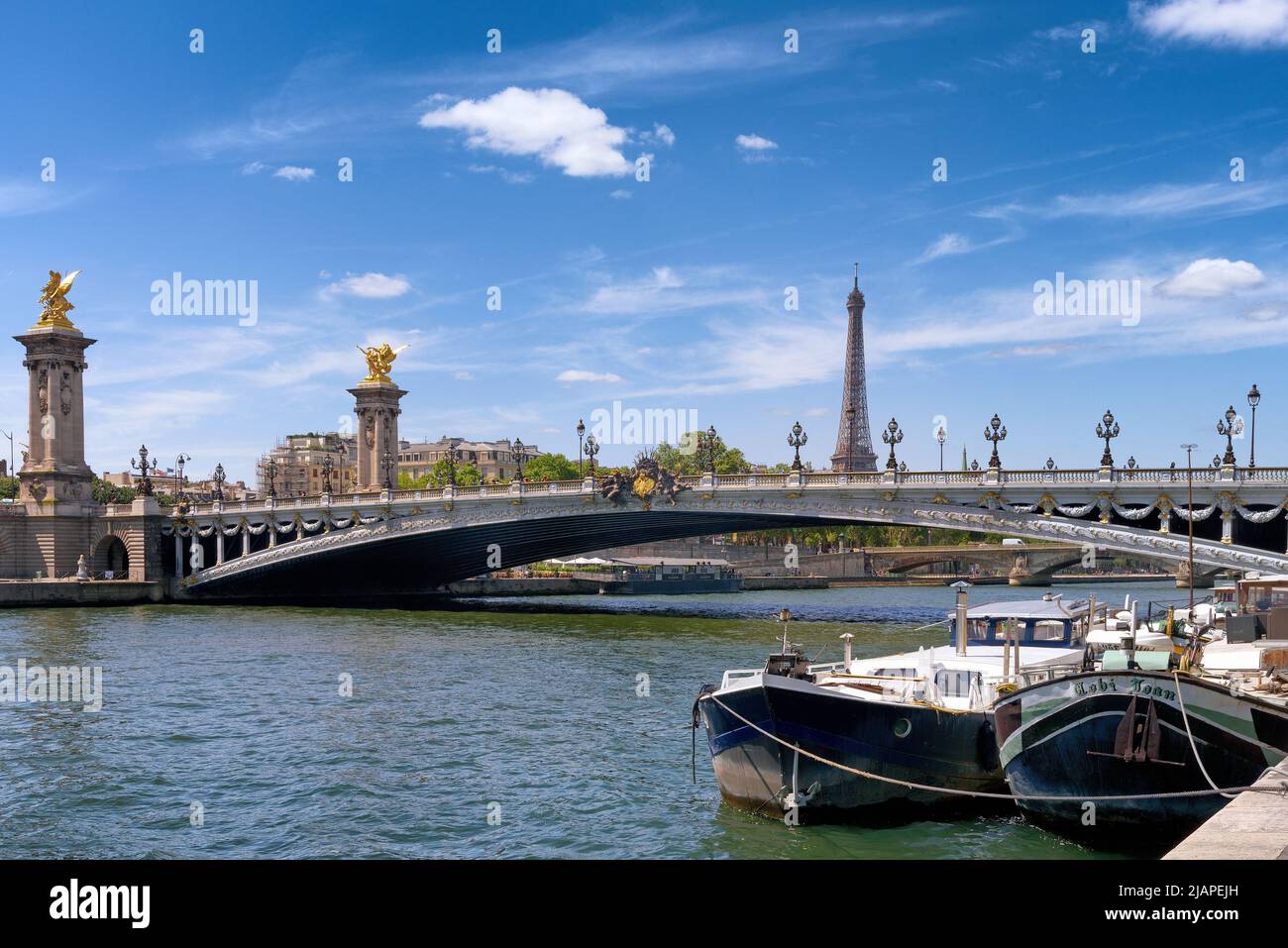 Il Pont Alexandre III è un ponte ad arco che attraversa la Senna a Parigi. Collega il quartiere degli Champs-ƒlysŽes con quelli degli Invalides e della Torre Eiffel. Il ponte è ampiamente considerato come il più ornato, stravagante ponte della città. E 'stato classificato come monumento francese historique dal 1975. Parigi, Francia Foto Stock
