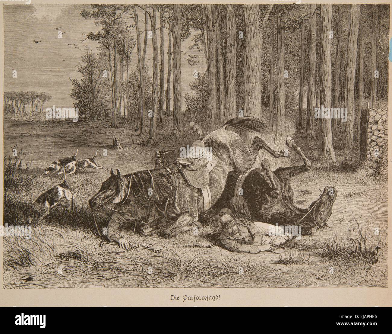 Caccia con i levrieri. Affilatura con Neue Illustrirte Zeitung 1880, N. 23, p. 364 Knesing, Theodor (1840 1927) Foto Stock