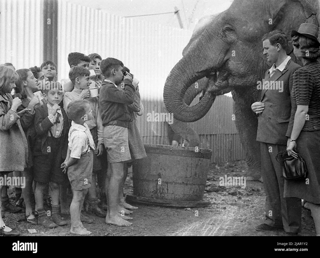 Bambini che guardano un elefante al Circo di Wirths ca. 1941 Foto Stock