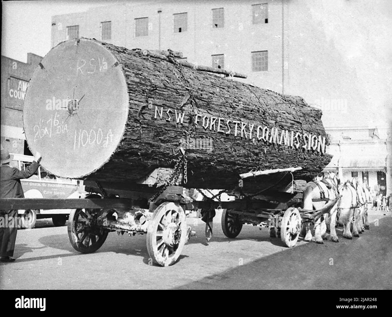 La Commissione forestale del NSW galleggia in una parata industriale ca. 1938 Foto Stock