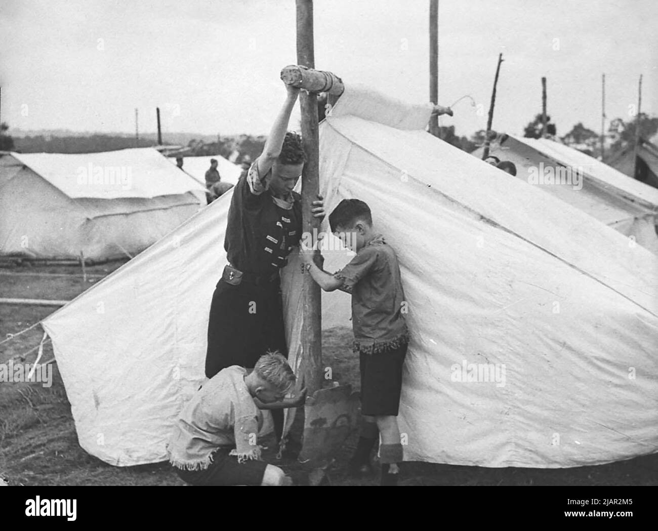 Boy Scouts che lavora allo Scouts Jamboree, Lindfield ca. 1939 Foto Stock