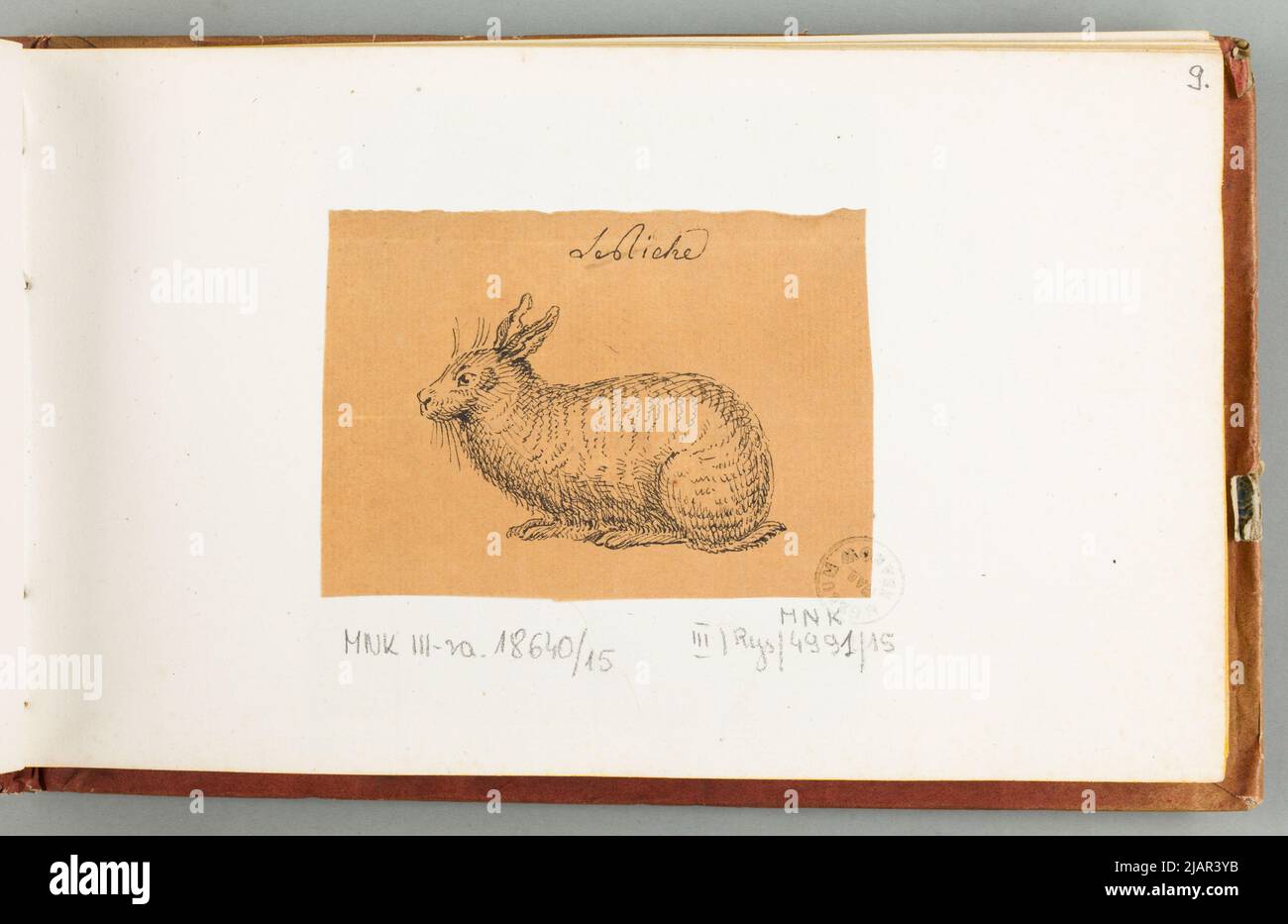 Leslick ; W: Dessine e la Plume Parigi ha filds. Dessinator You Cabinet la Storia naturalmente 1810 ha, nicolas (ca 1770 1830) Foto Stock