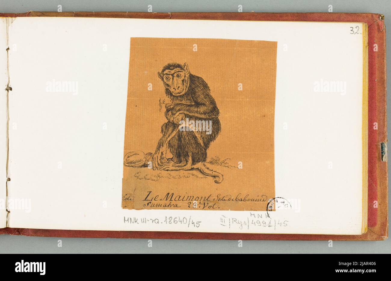 Il Maimont (Monkey Rodzaj Paviana di Sumatra), in: Disegna alla penna da file huet. Progettista del Gabinetto di Storia Naturale 1810 ha, nicolas (ca 1770 1830) Foto Stock