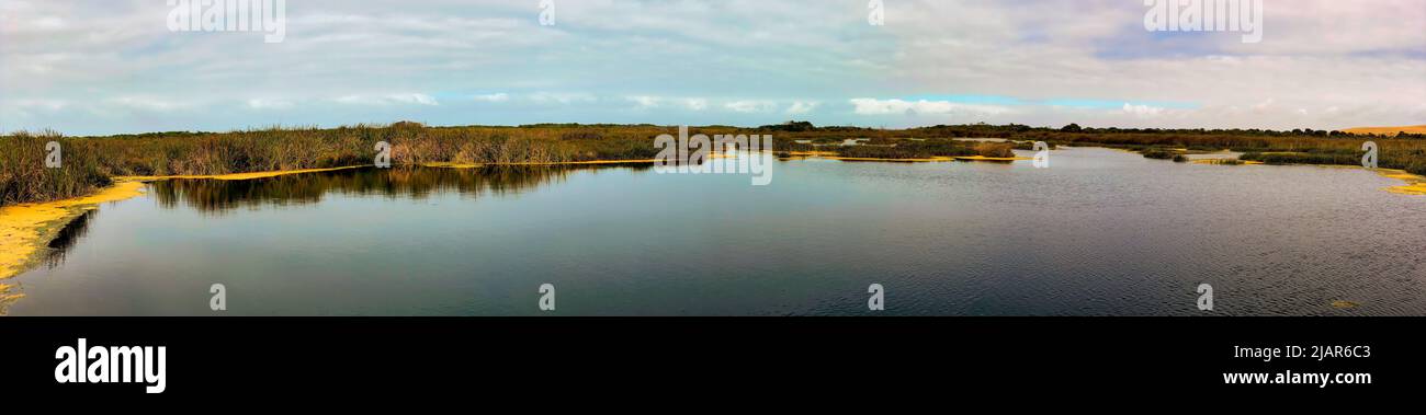 Panorama di Ewens Pond un solco di pietra calcarea pieno d'acqua nello stato australiano dell'Australia Meridionale. Foto Stock