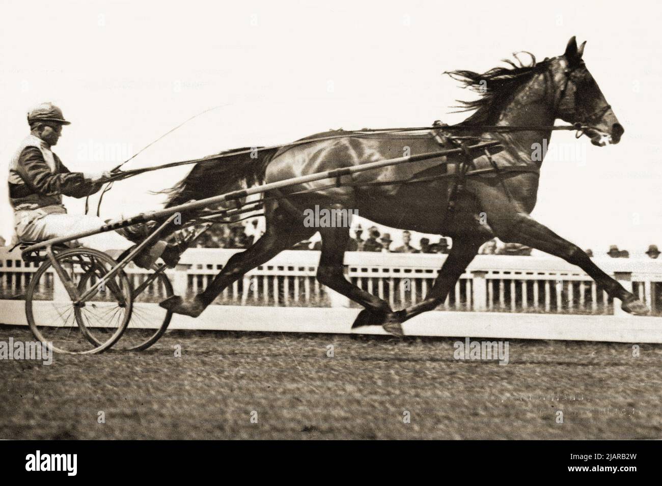 Prato Derby (AUS), un cavallo Standardbred (1930) di Robert Derby da Roselawn di Childewood. Unhoppled, questo nuovo pacer del Galles del Sud è stato il primo pacer a rompere la barriera di due minuti in Australia o Nuova Zelanda. Ha realizzato questa impresa nel 1938 alla pista di Addington in Nuova Zelanda quando ha registrato 1:59,4 ca. 1934 Foto Stock