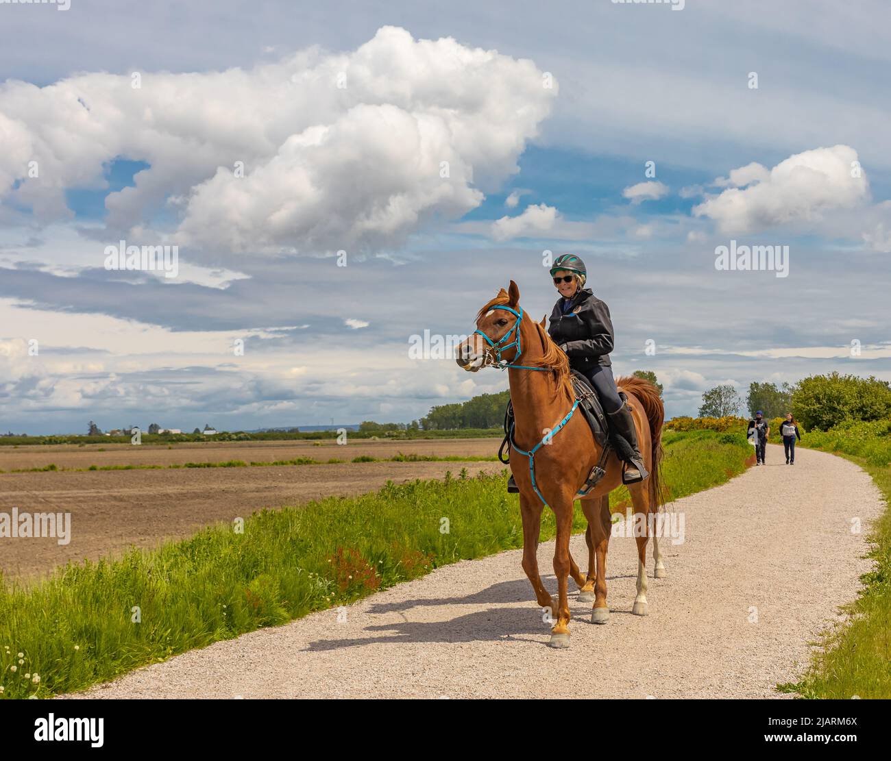 Una donna a cavallo. Dressage donna pilota a cavallo nel parco. Sport equestre. Foto di strada, fuoco selettivo, editoriale-Maggio 29,2022-Vancouve Foto Stock