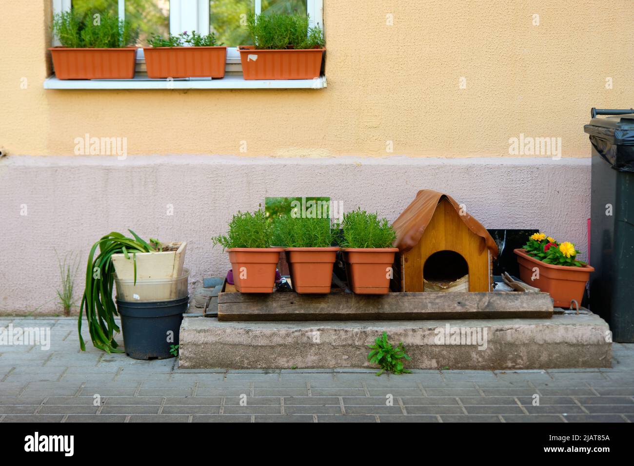 Preparazione per un trapianto stagionale di vasi di fiori di piante, terreno di pottaggio, cazzuola e piante. Piantando nel concetto di giardino fotografia. Alta qualità Foto Stock