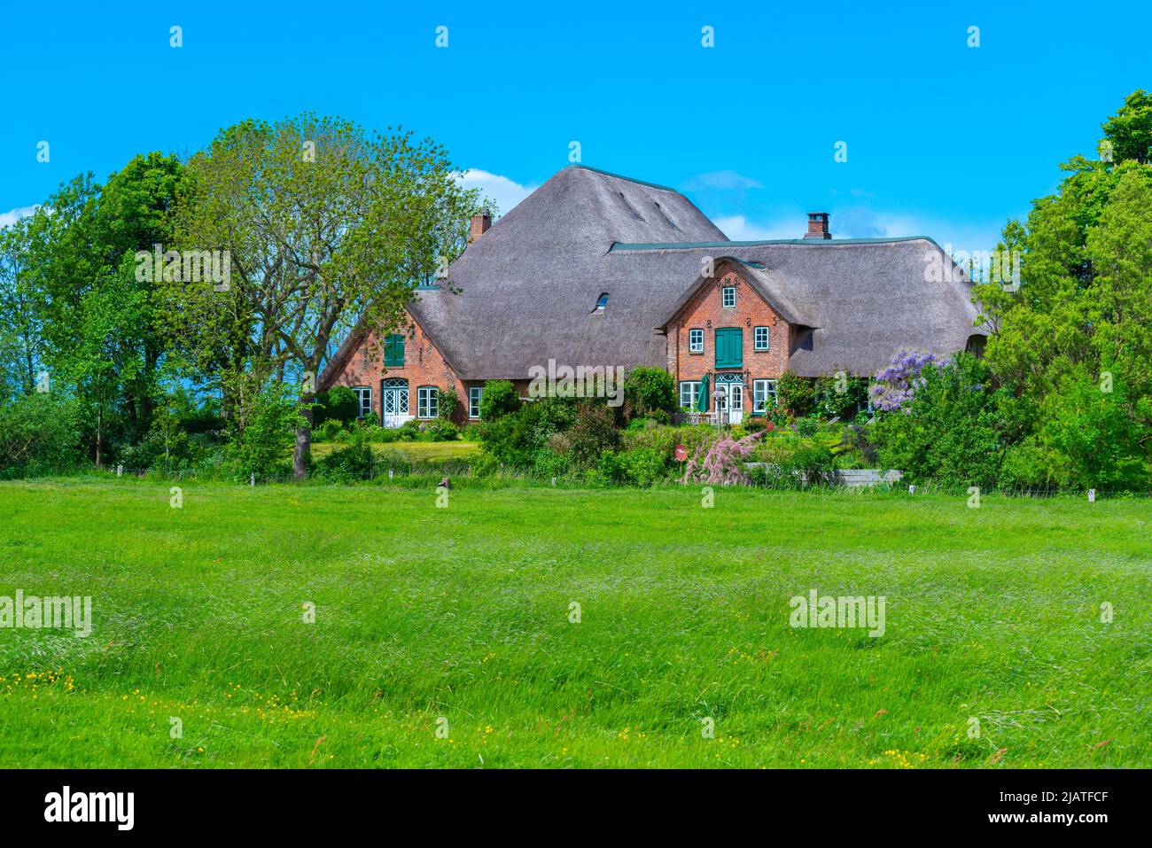 Grande fattoria di paglia chiamata 'Haubarg', tipica della penisola argiricola Eiderstedt, Frisia settentrionale, Schleswig-Holstein, Germania settentrionale Foto Stock