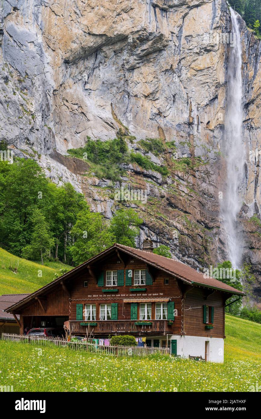Tipico chalet svizzero con cascata Staubbach, Lauterbrunnen, Canton Berna, Svizzera Foto Stock