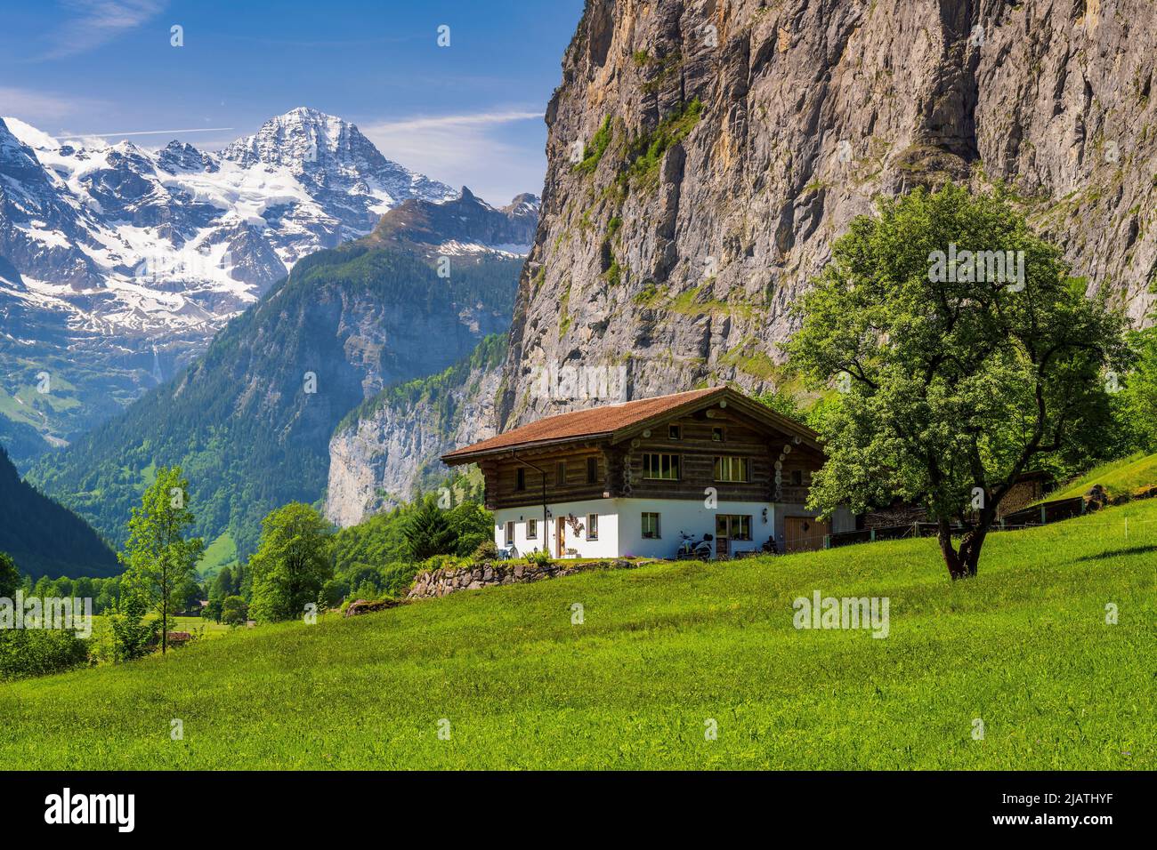 Paesaggio montano estivo panoramico, Lauterbrunnen, Canton Berna, Svizzera Foto Stock