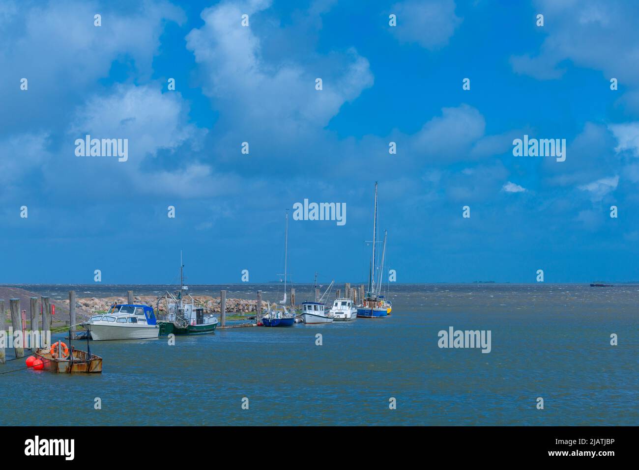 Everschop,Tetenbüll, Peninsula Eiderstedt, Frisia settentrionale, Schleswig-Holstein, Germania settentrionale Foto Stock