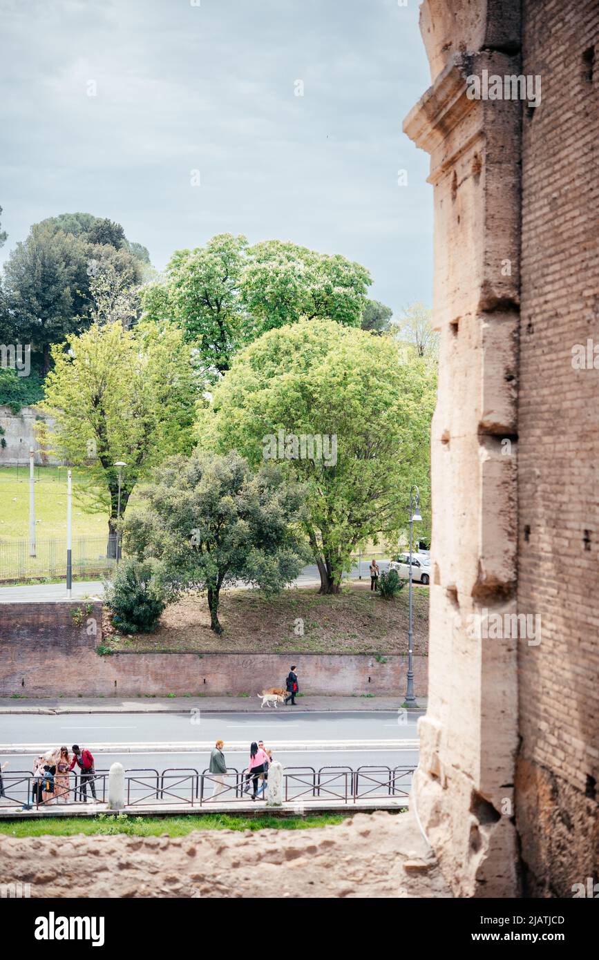 Vista panoramica sulla strada trafficata con alberi verdi e antiche rovine nel centro storico di Roma Foto Stock
