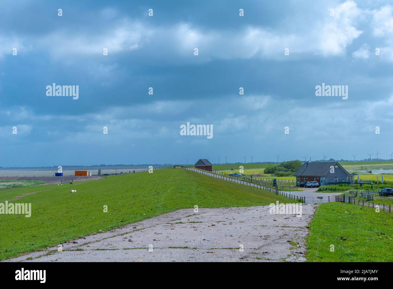 Everschop, Peninsula Eiderstedt, Frisia settentrionale, , Schleswig-Holstein, Germania settentrionale Foto Stock